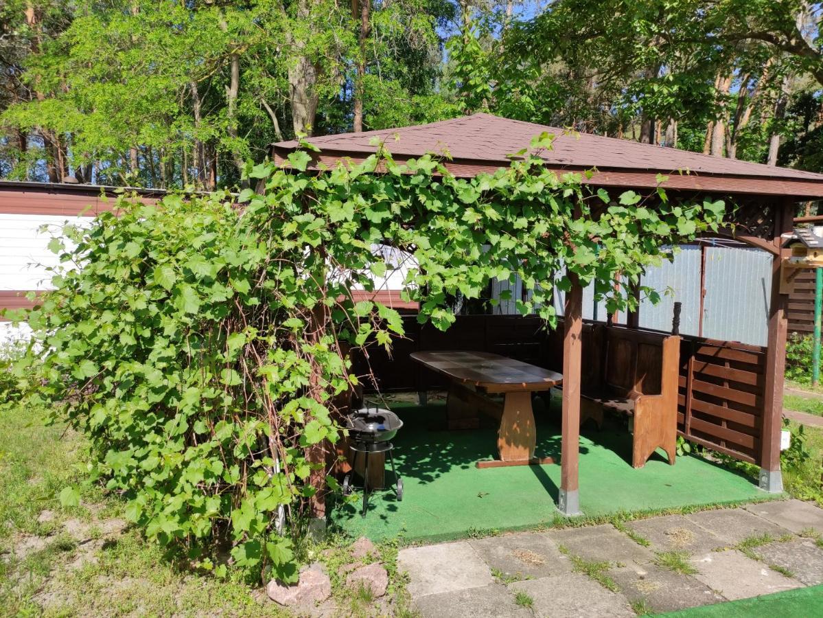 Villa Joanna 米兹多洛杰 外观 照片